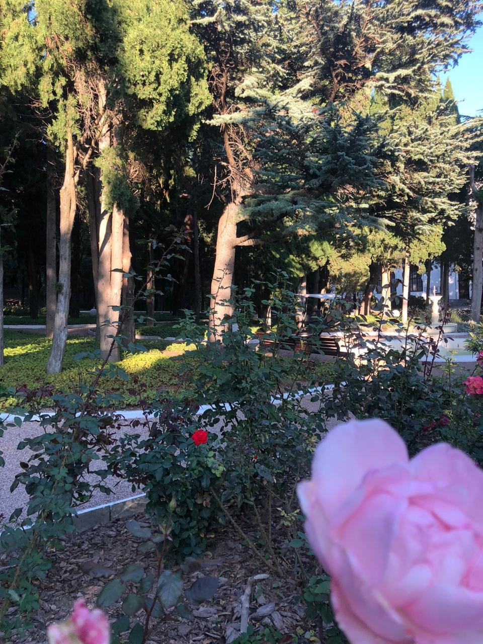 Mellas Health Resort-官方