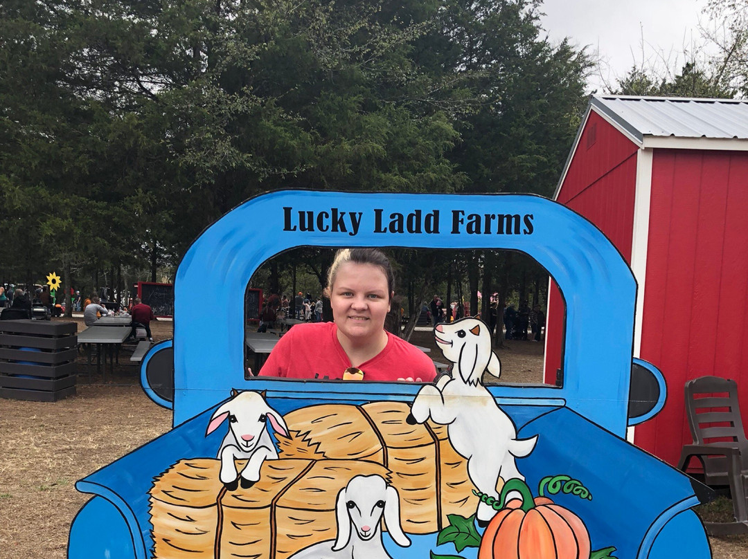 Lucky Ladd Farms景点图片