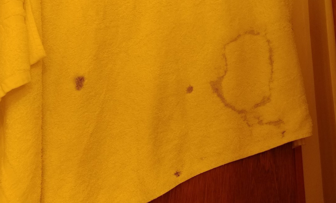 Milford Motel on the River主图