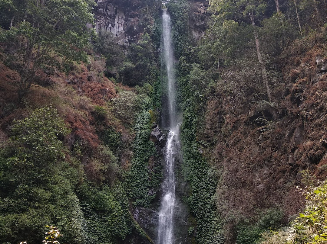 Coban Rais Waterfall景点图片