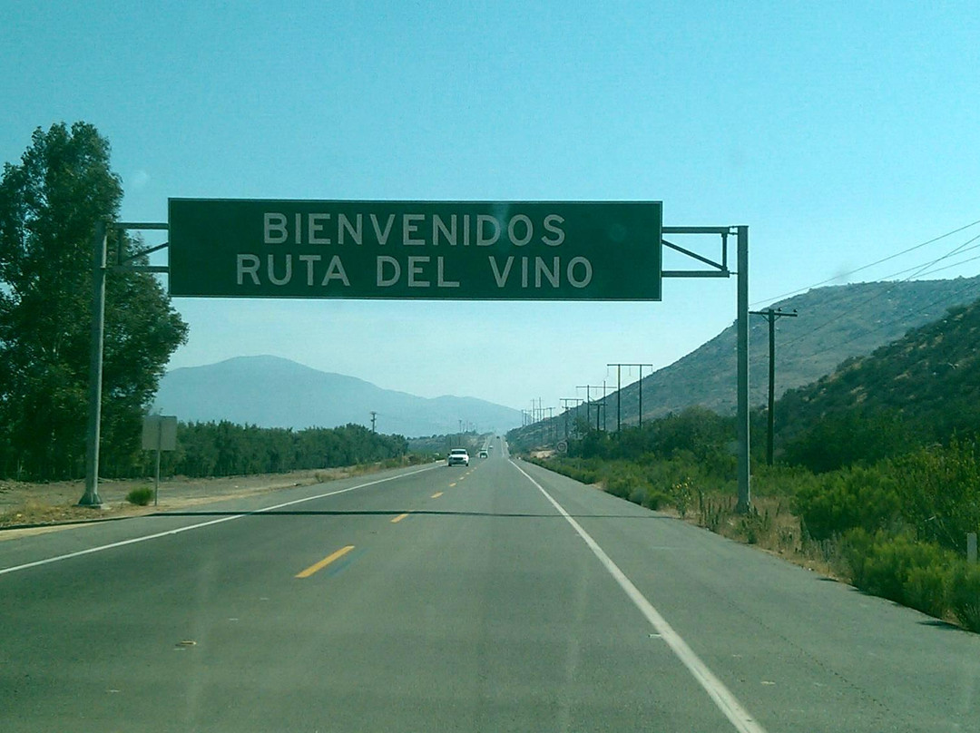 Tour Ruta del Vino景点图片