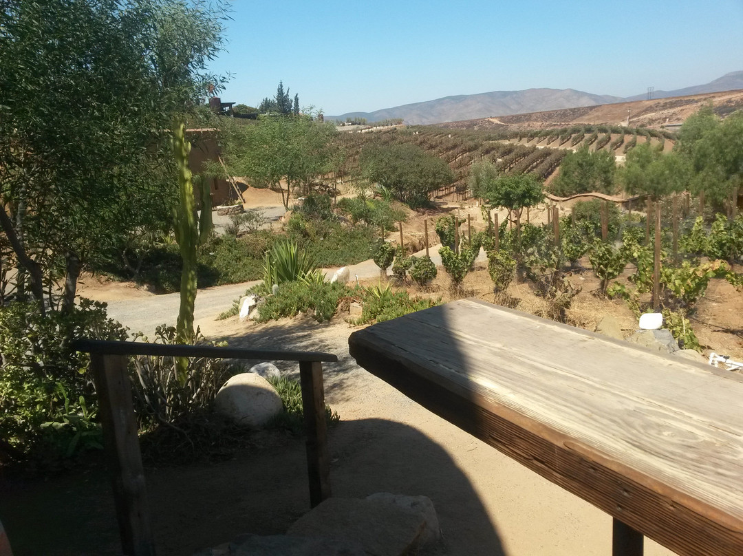 Cavas Sol Y Barro (sun And Clay)景点图片