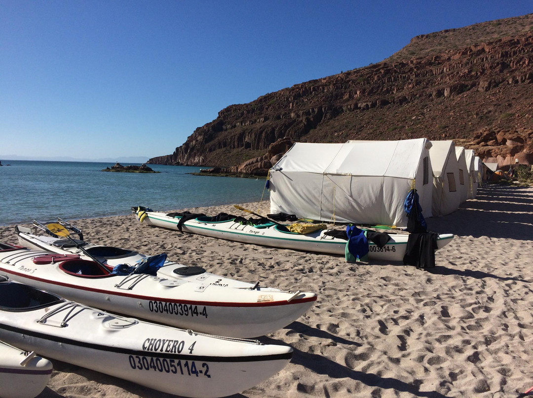 Sea of Cortez Adventures