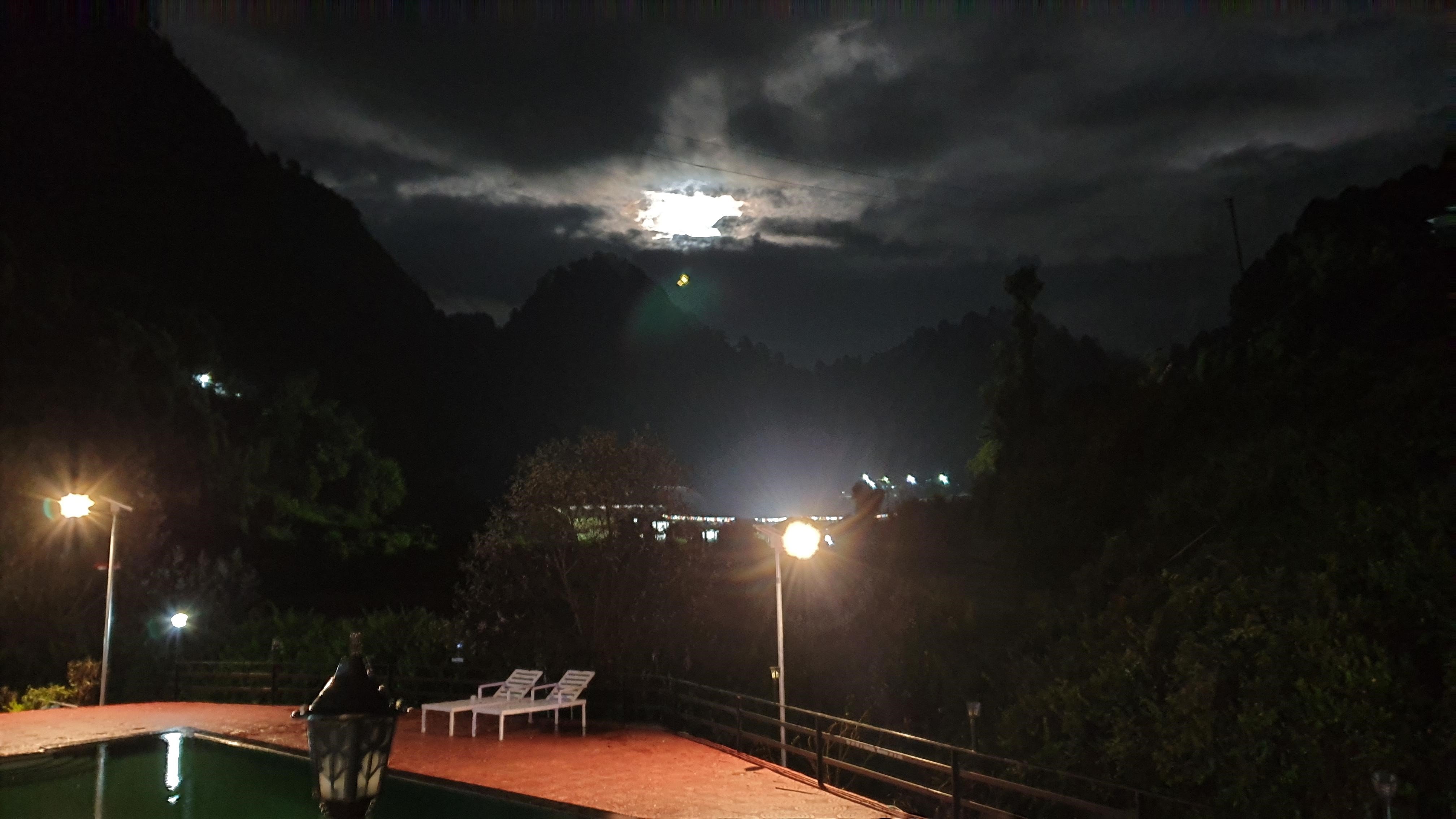 The Jungle Pool-酒店景观