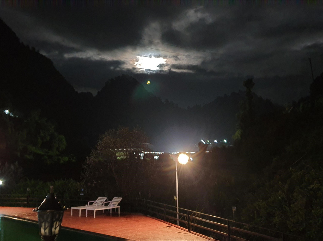 The Jungle Pool主图