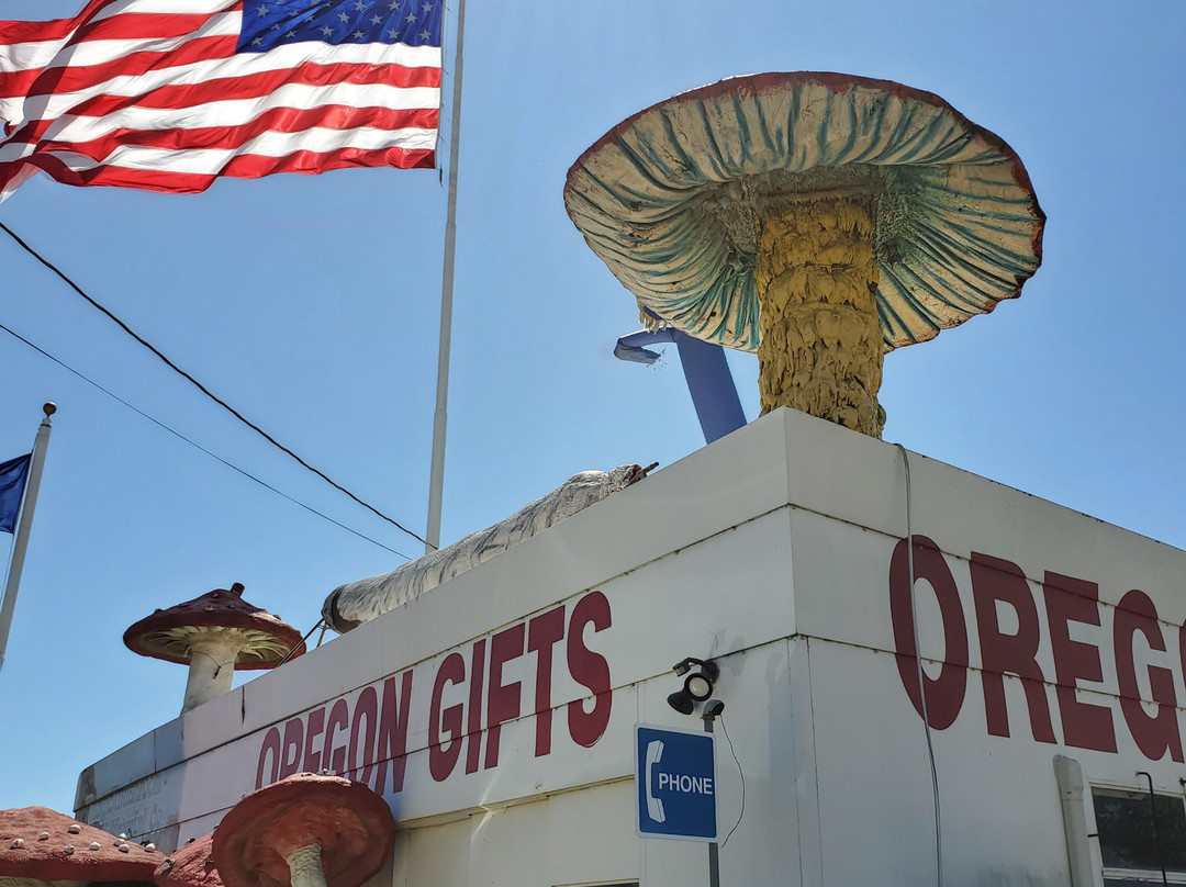 Magic Mushroom Oregon Gifts景点图片