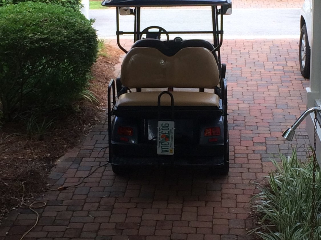 30A Custom Cart Rentals, Santa Rosa Beach景点图片