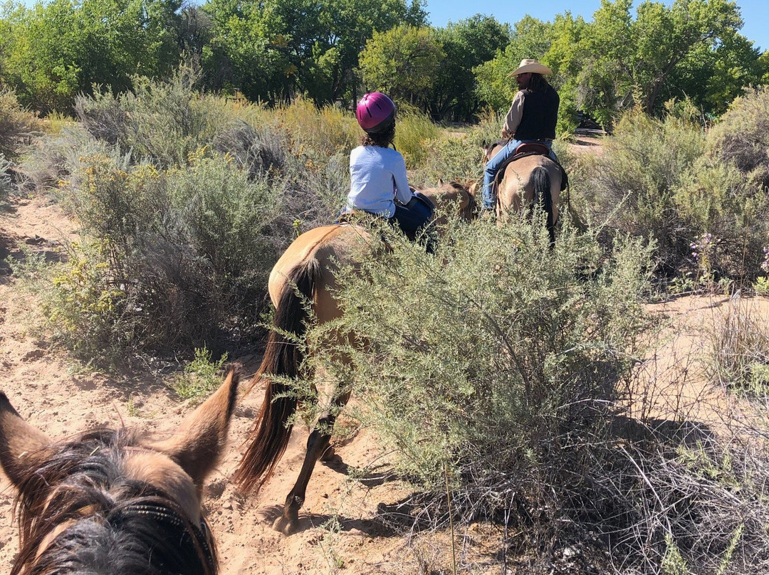 Running Horse Ranch-阿尔伯克基必去景点