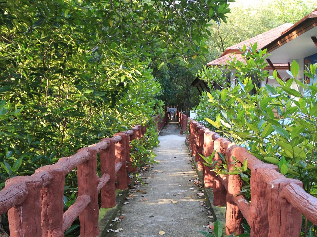 Krabi Urban Forest景点图片