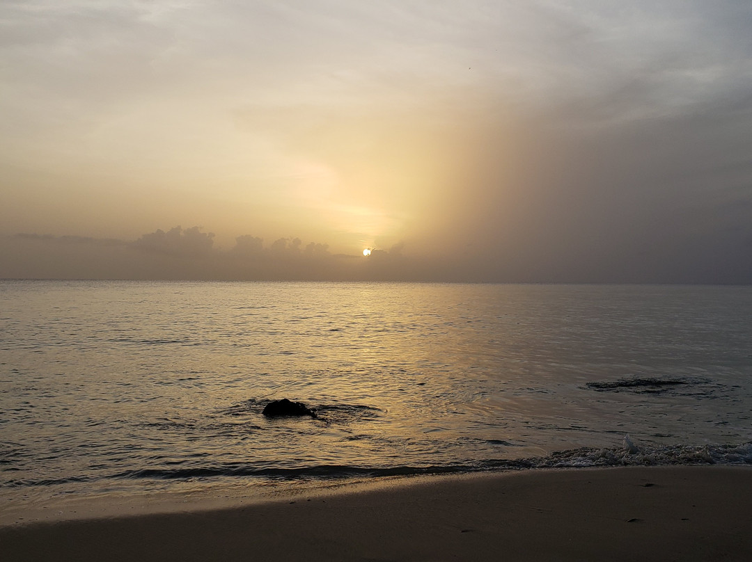 Rhythms at Rainbow Beach景点图片