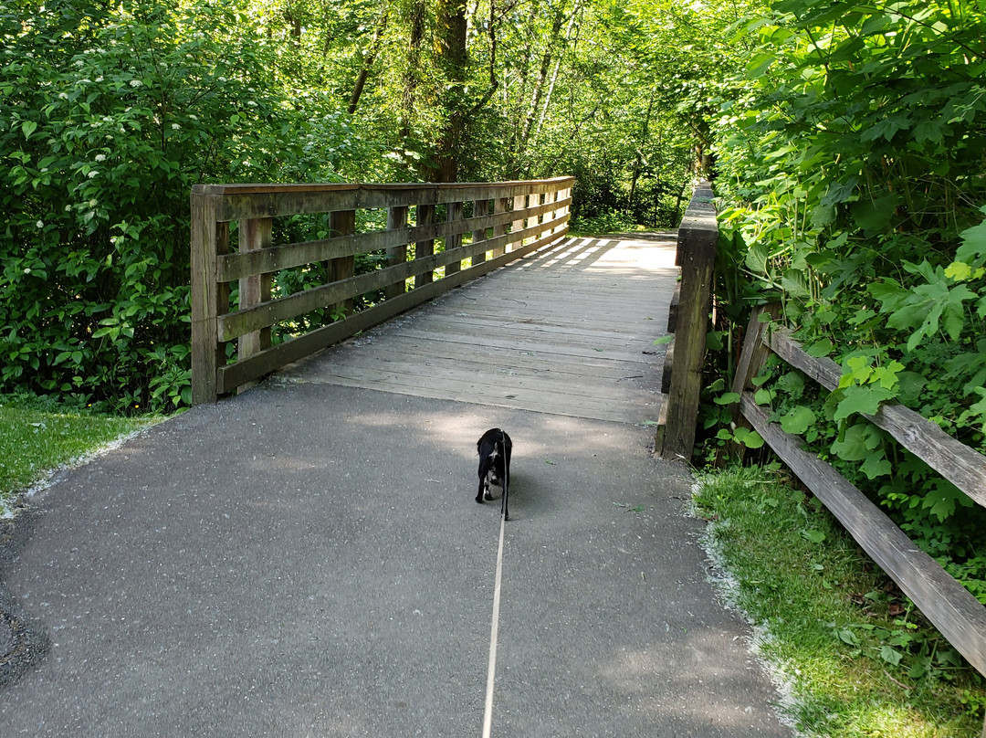 Wallace Swamp Creek Park-Kenmore必去景点