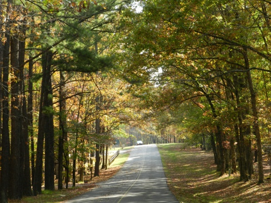 David Crockett State Park景点图片