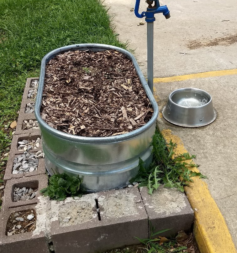 k9 Cain Memorial Dog Park-Crossville必去景点