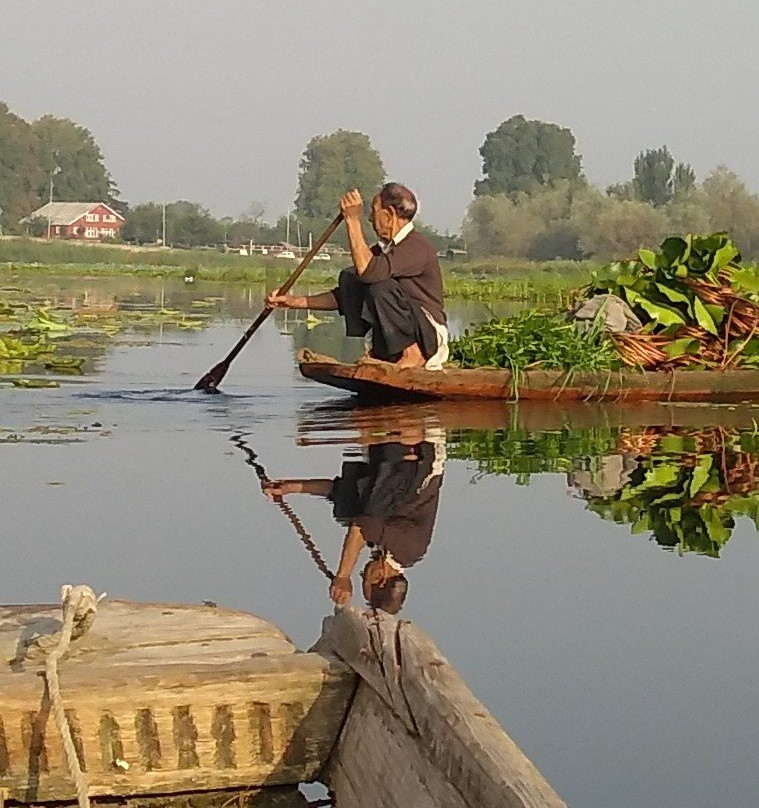 Floating Vegetable Market景点图片