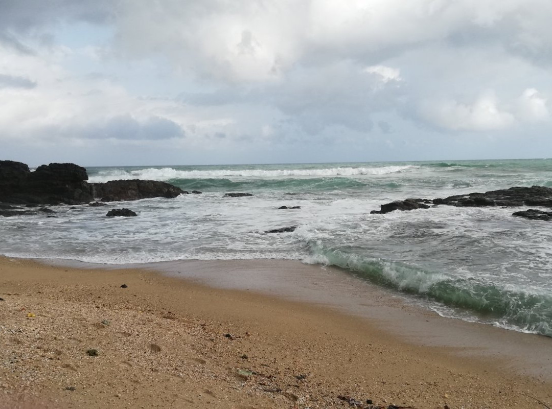 Turtles View Resort主图