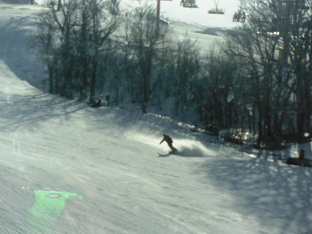 Great Bear Recreation Park