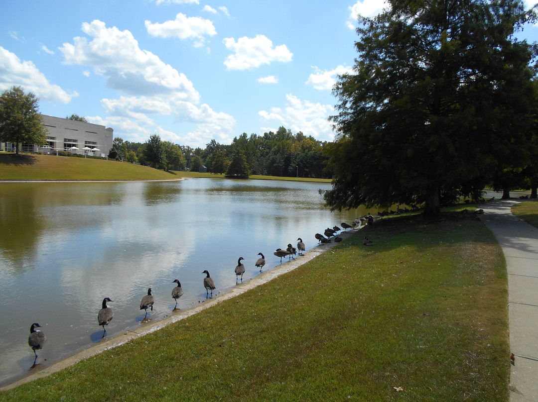 The Jule Collins Smith Museum Of Fine Art-奥本必去景点