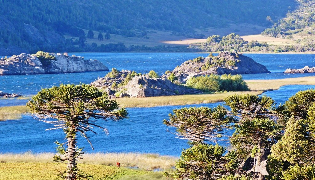 Lago Pulmari景点图片