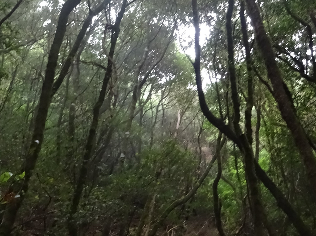 Parque Rural de Anaga-圣克鲁斯-德特内里费必去景点