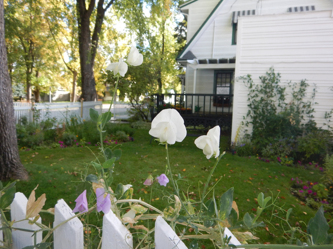 Garden Wall Inn主图