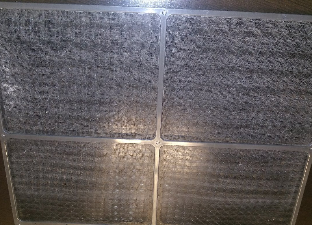 Super 8 by Wyndham Rock Springs主图