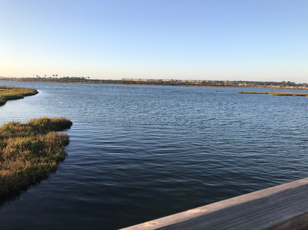 Bolsa Chica Ecological Reserve-亨廷顿海滩必去景点