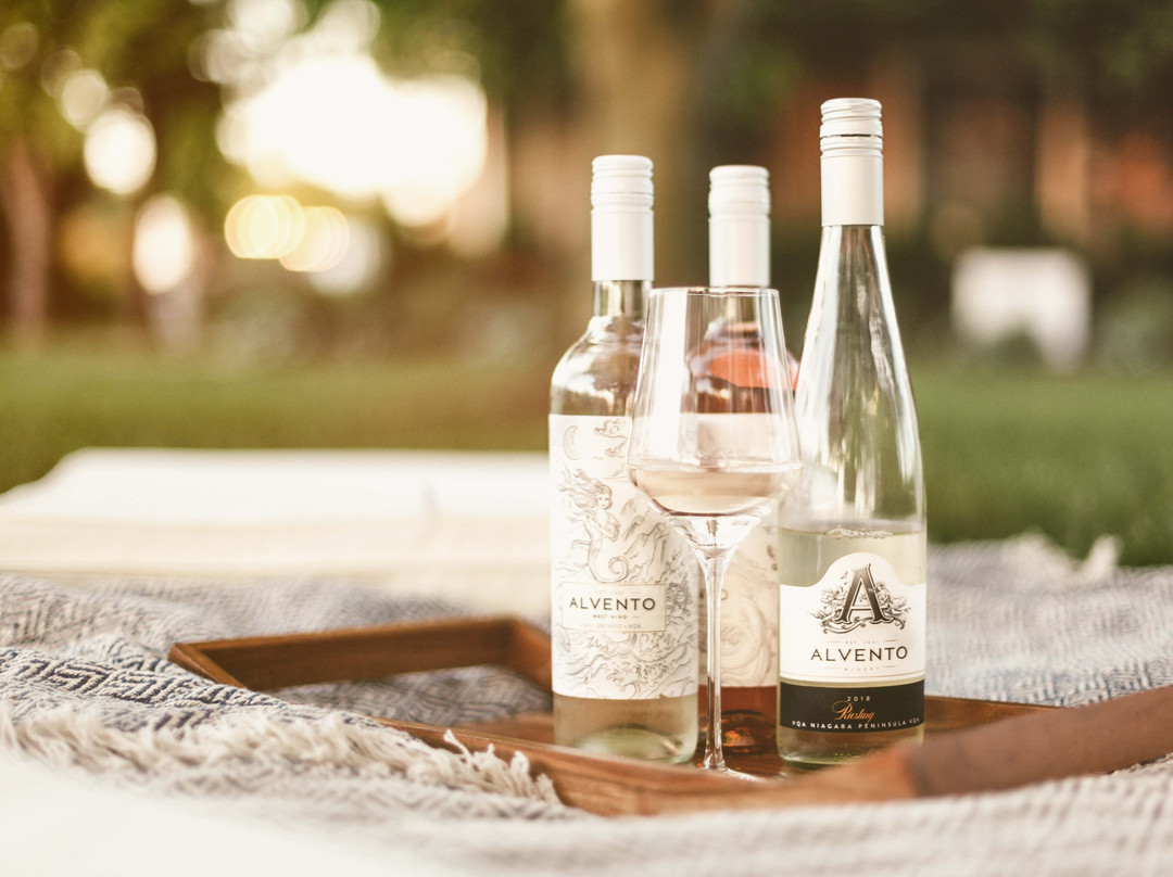 Alvento Winery景点图片