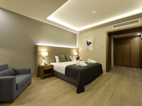 Holiday Inn Bursa - City Centre by IHG主图