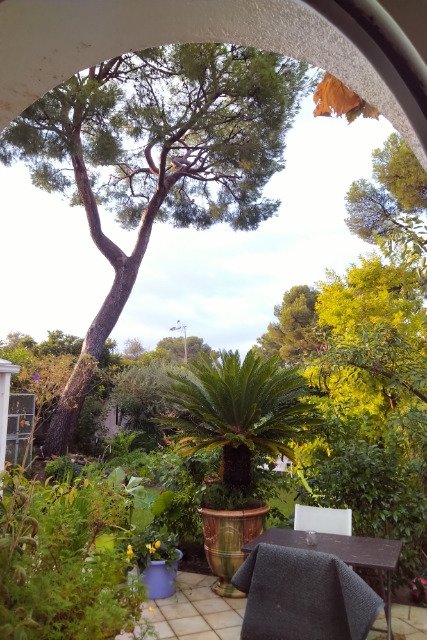 Villa le Bosquet-酒店景观