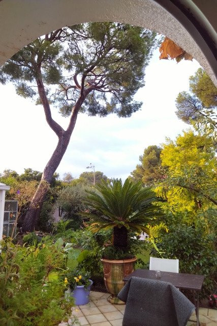 Villa le Bosquet主图