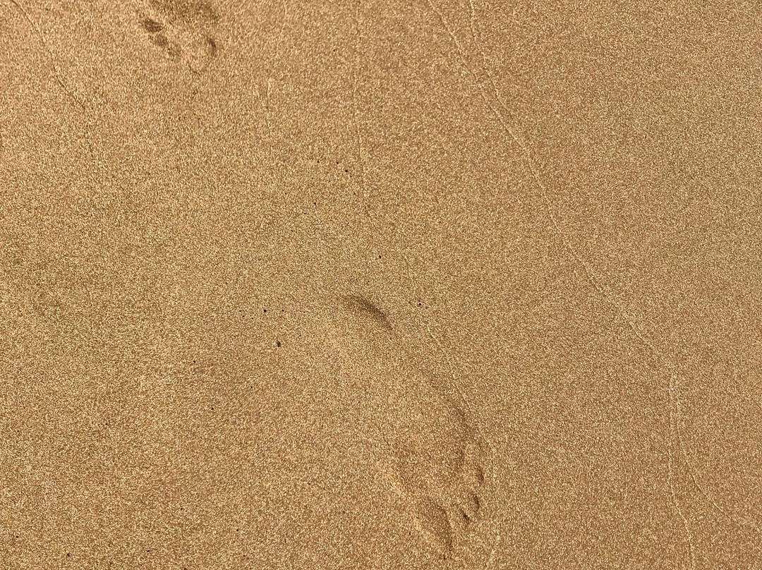 Hotel Likithos Village主图