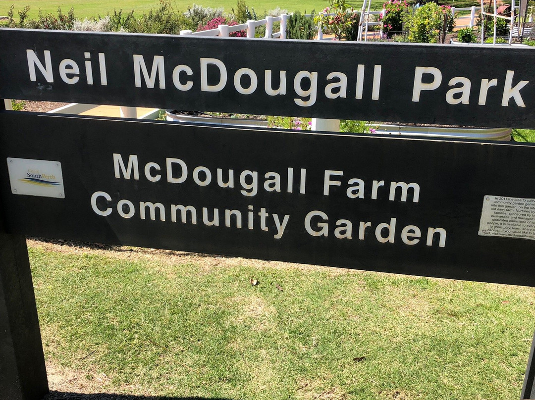 Neil McDougall Park景点图片