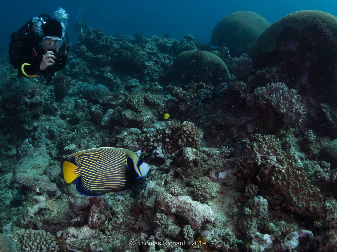 La Foa Plongée-La Foa必去景点