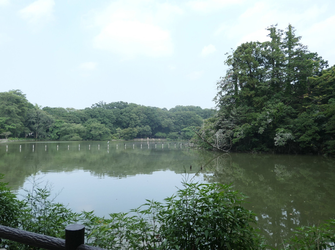 Zempukuji Park-杉并区必去景点