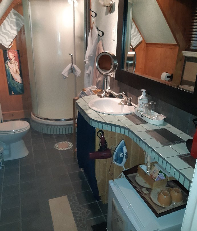 Chateau Murdock Gite et Esthetique 1950主图