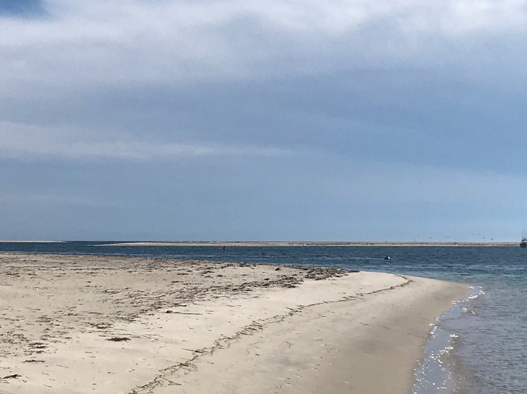 Monomoy National Wildlife Refuge景点图片