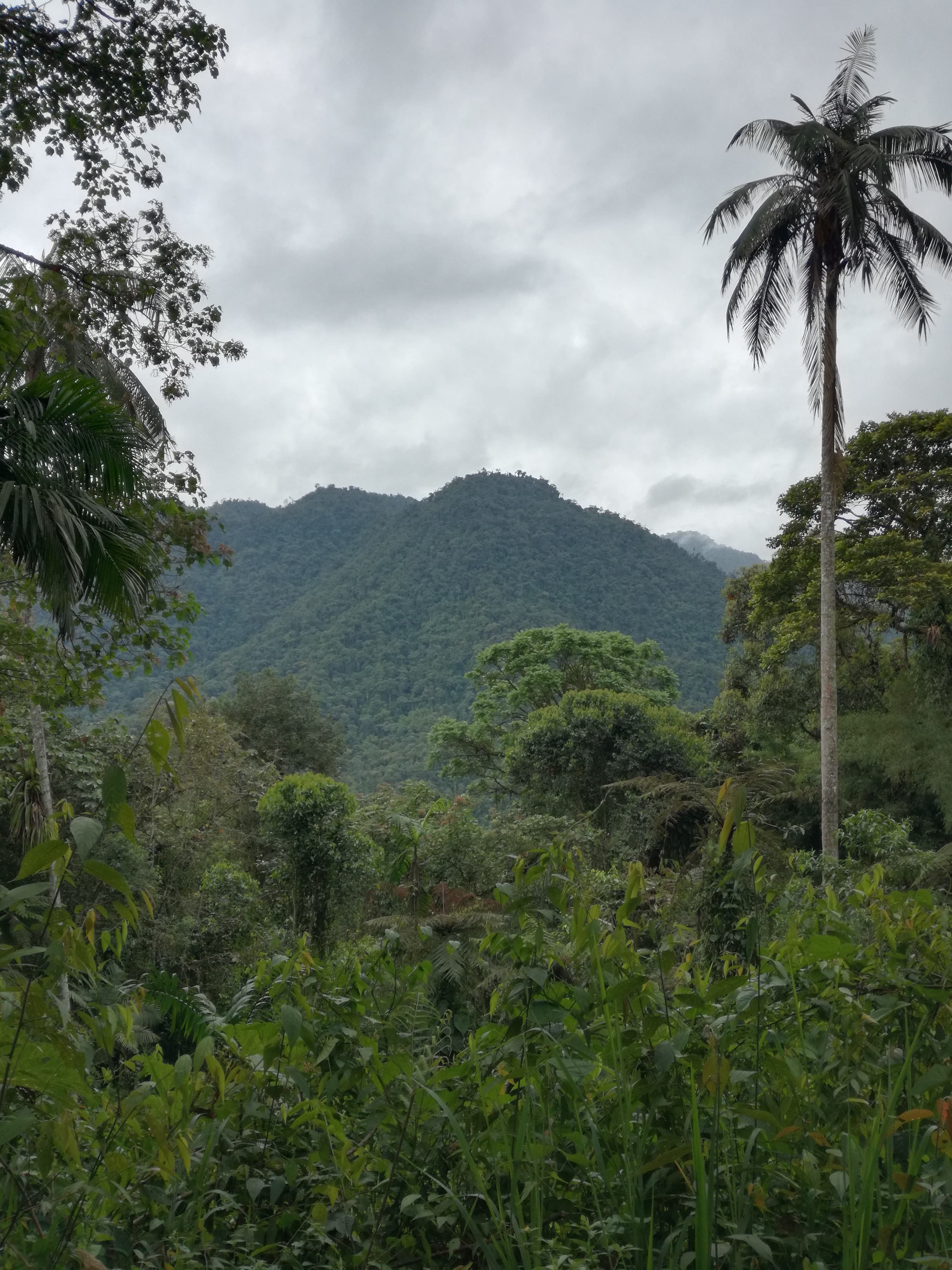 Casa Divina Eco Lodge-浴室