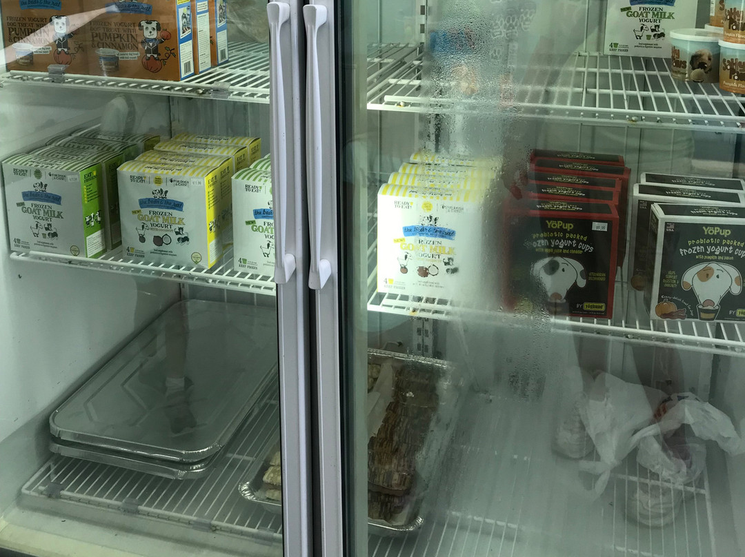 Salty Paws-里霍博斯比奇必去景点