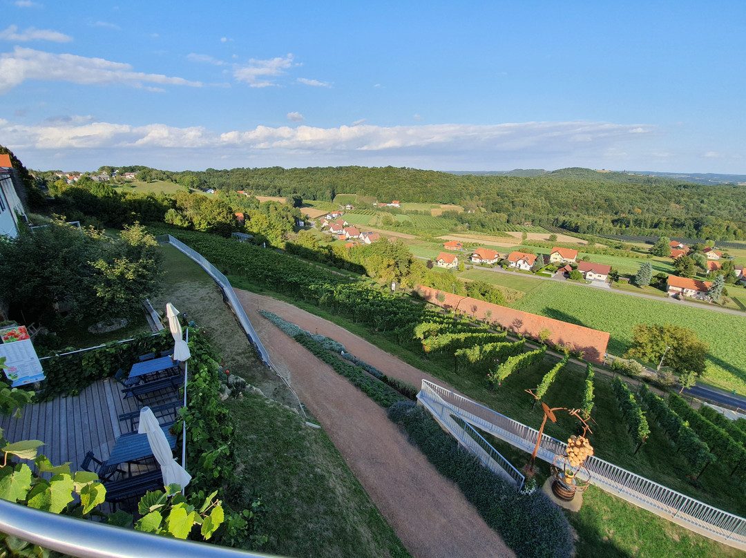 Gesamtsteirische Vinothek景点图片