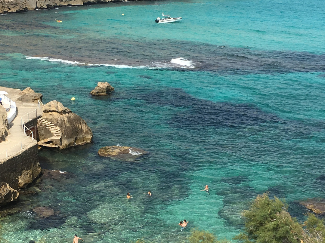 Playa De Cala Clara-Cala Sant Vicenc必去景点