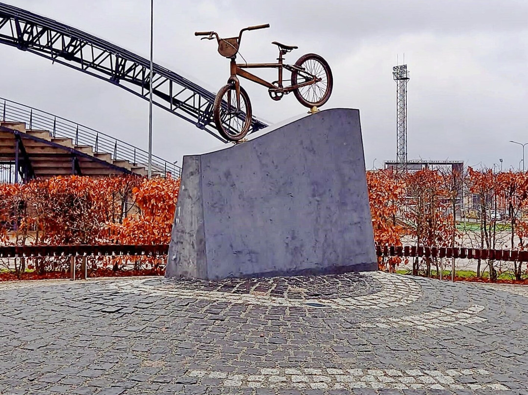 Stromberg's Metal Bmx Bike景点图片