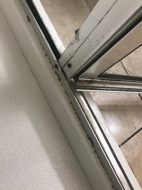 智选假日套房酒店南圣安东尼奥主图
