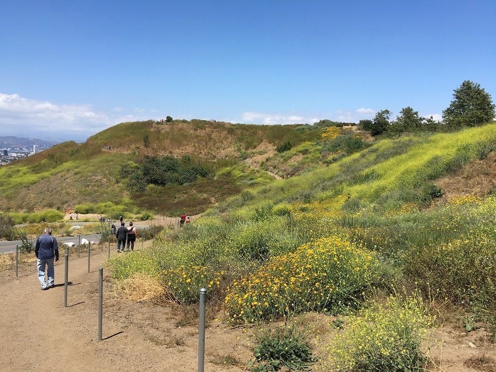 Baldwin Hills Scenic Overlook-卡尔弗城必去景点