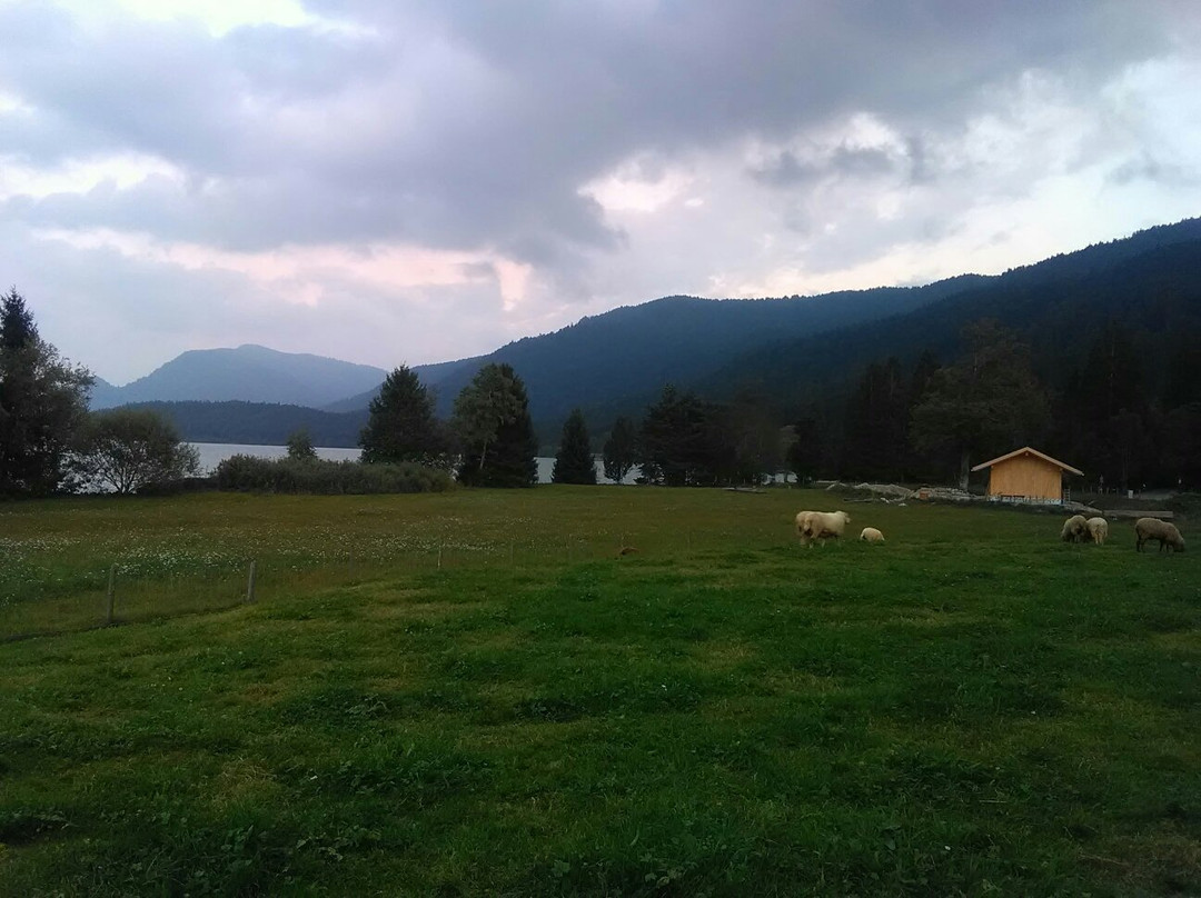 Haus Kiefersauer-Jachenau必去景点