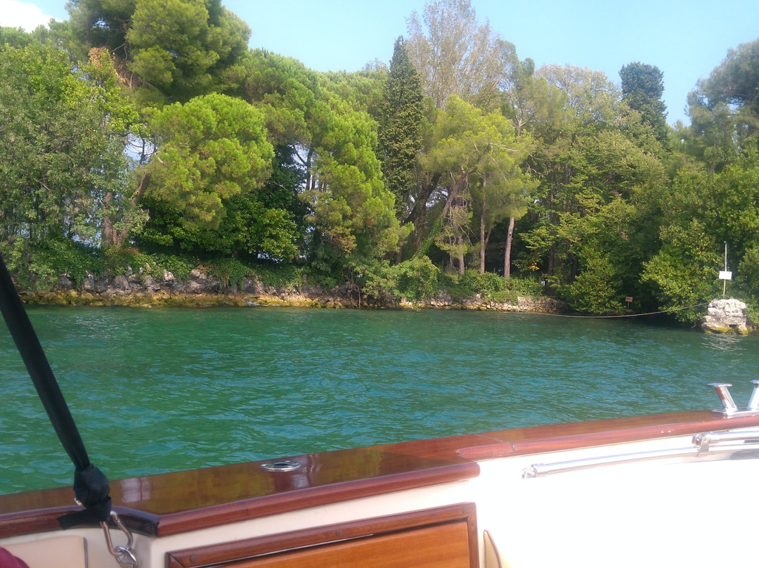 Bee Boat Service景点图片