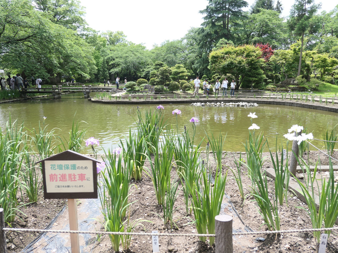 Isasumi Shrine景点图片