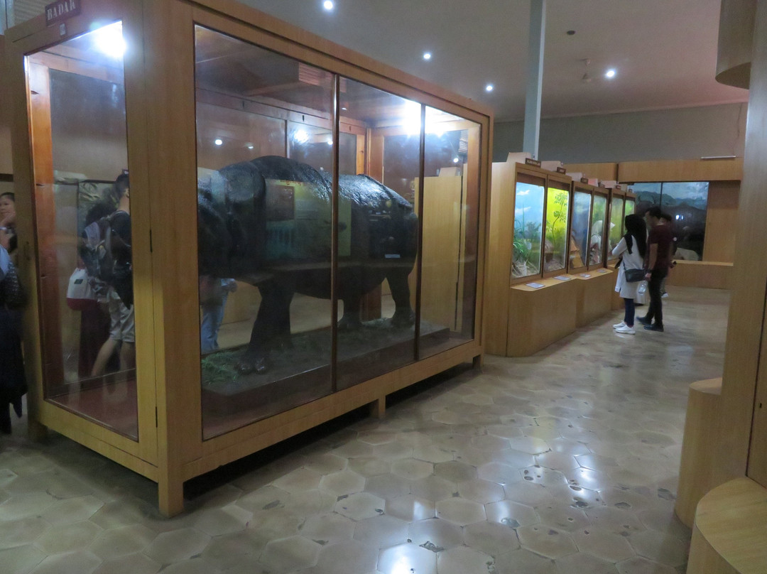 Museum Zoologi景点图片