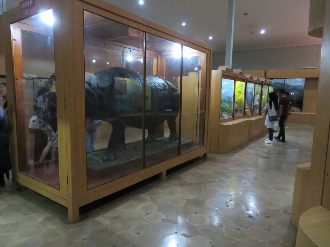 Museum Zoologi-茂物必去景点