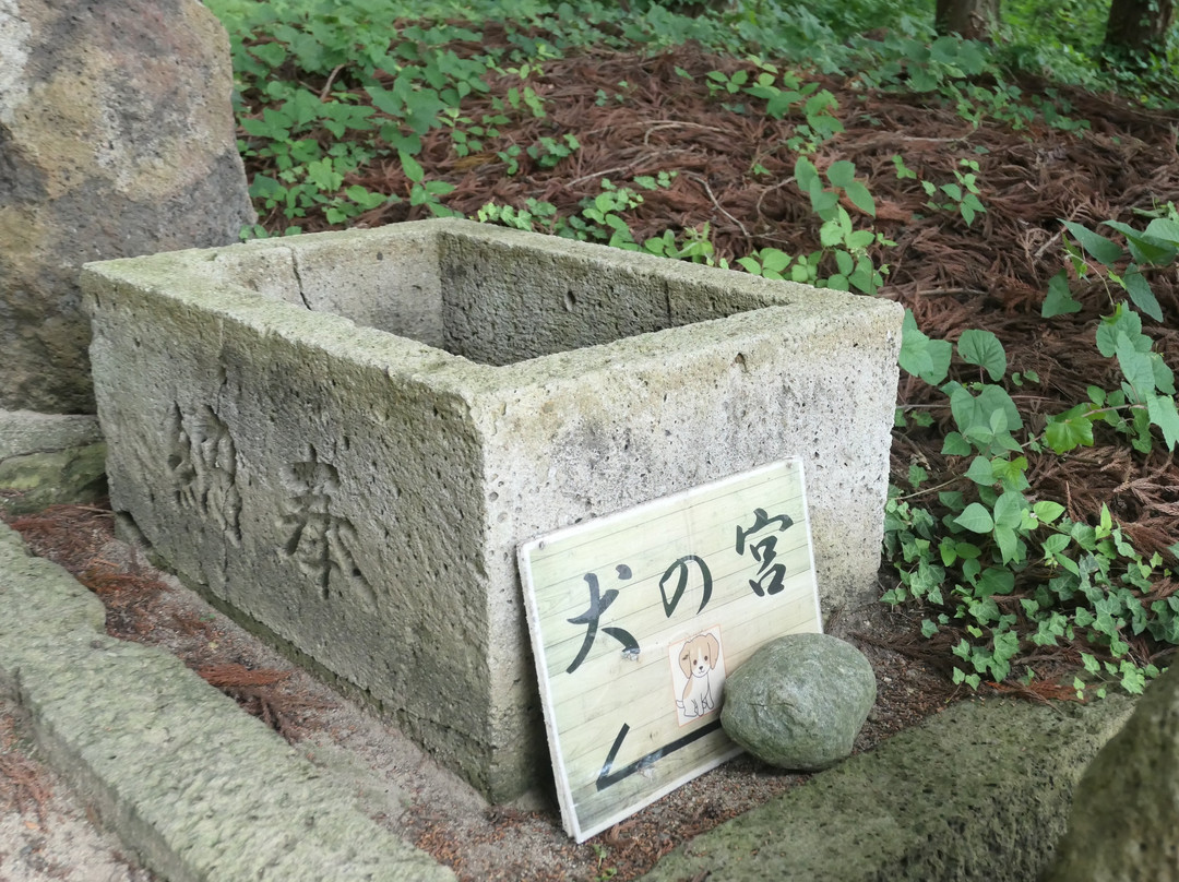 Dog's Shrine景点图片