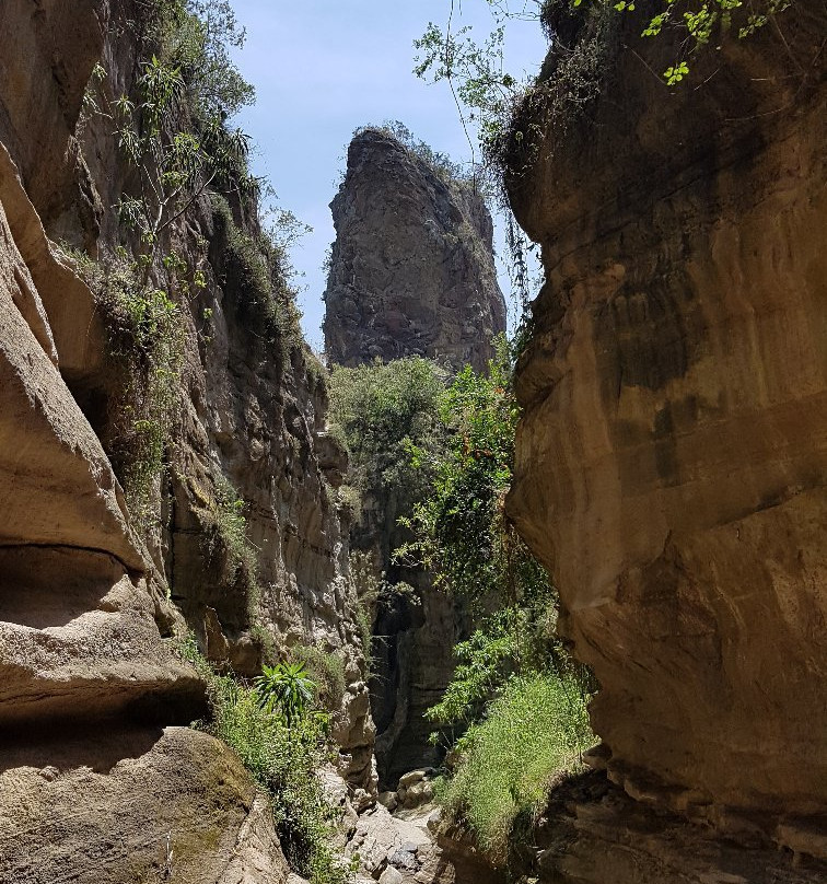 East African Eco Adventures-内罗毕必去景点